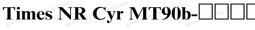 Times NR Cyr MT90b字体转换